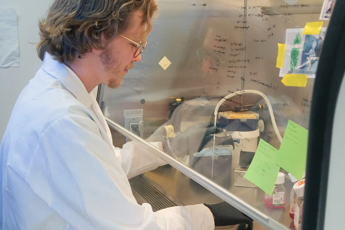 A student working in a lab 