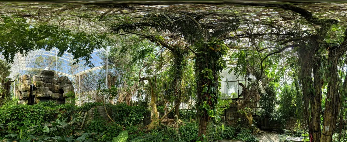 Biosphere 2 Rainforest Fisheye