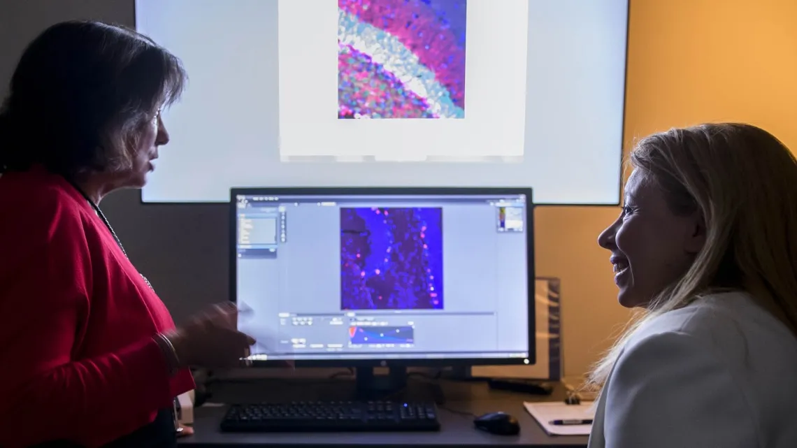 Roberta Diaz Brinton, PhD, and Nahla Zaghloul, MD