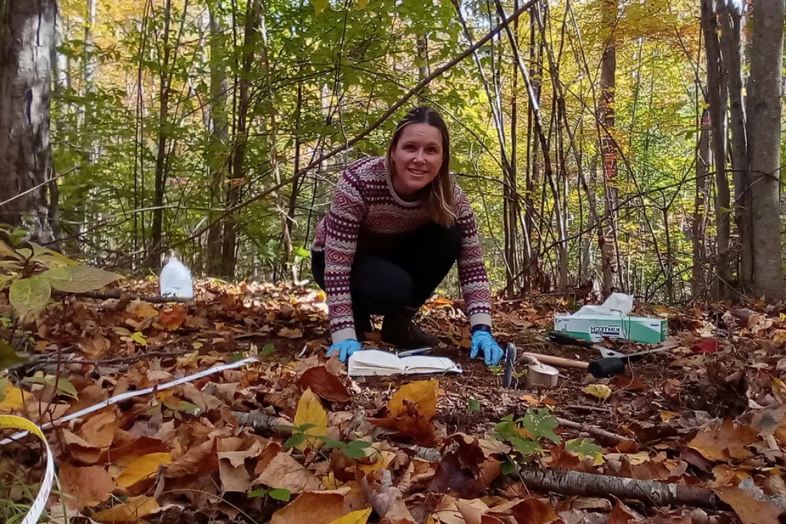 Person in sweater collecting soil samples in a forest