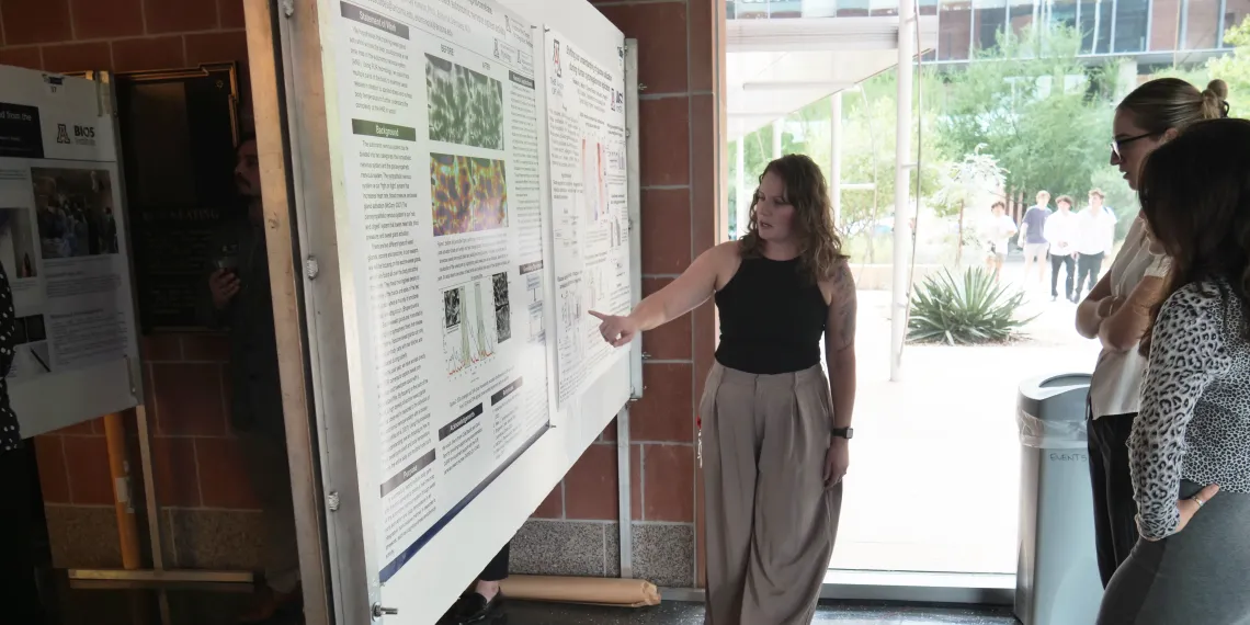 research and innovation showcase