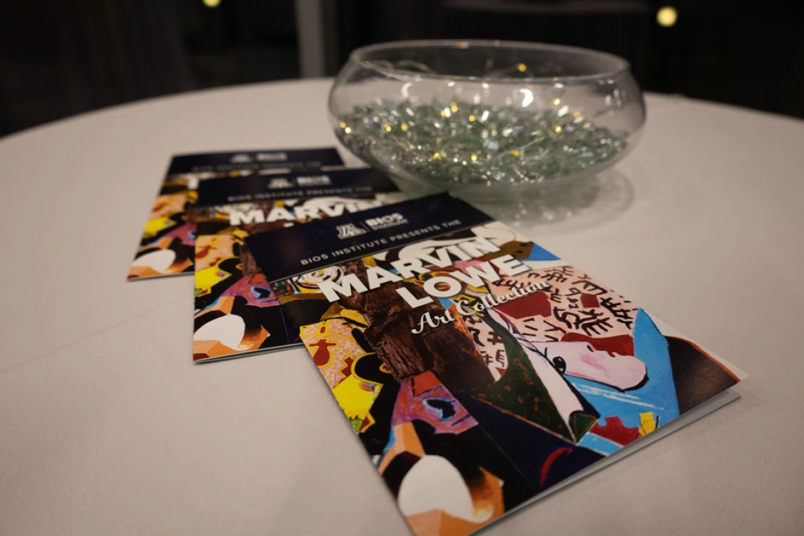 Colorful booklets featuring Marvin Lowe artwork at the BIO5 Institute