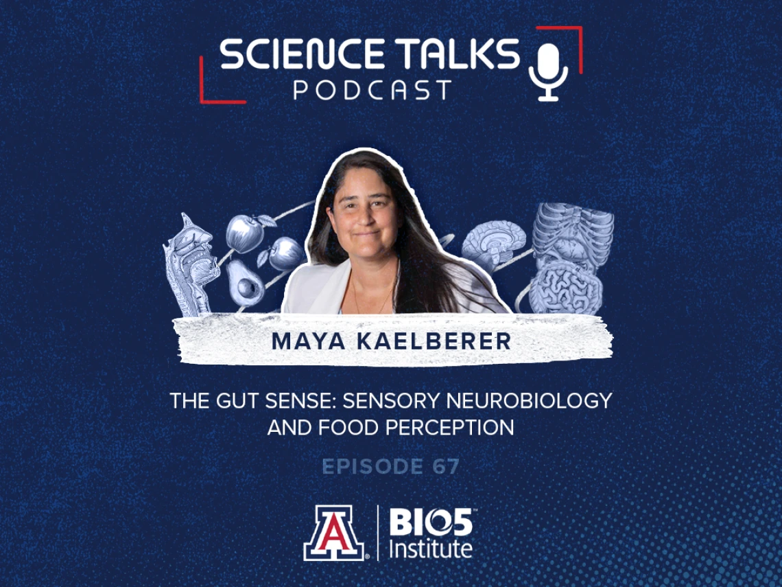 Promotional image for the Science Talks Podcast Episode 67 featuring Maya Kaelberer, discussing "The Gut Sense: Sensory Neurobiology and Perception." The image includes the BIO5 Institute and University of Arizona logos.
