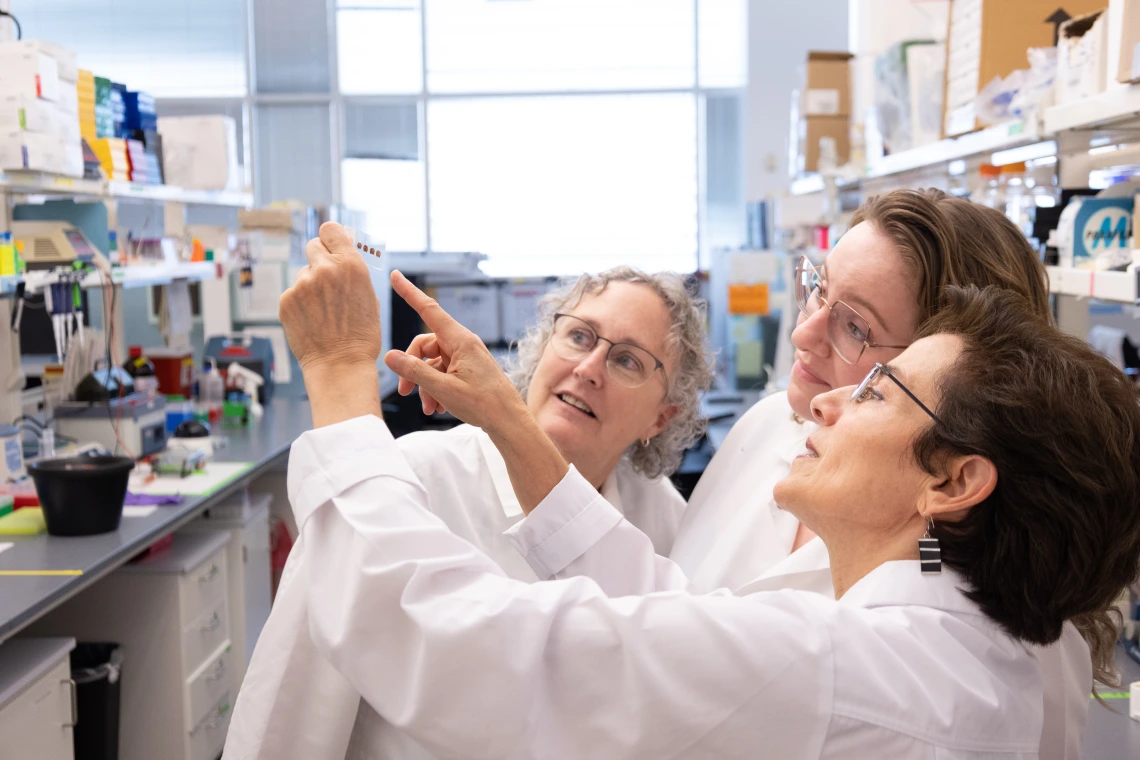 BIO5 Exchange Header Image 