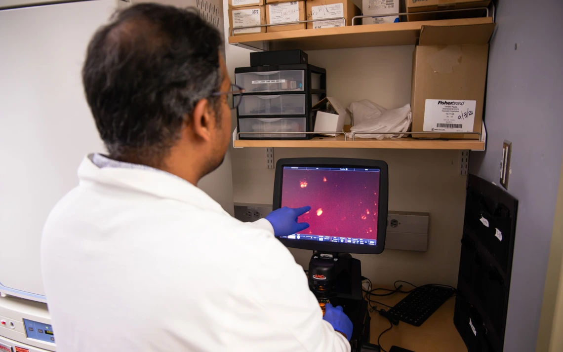 Person in a lab coat and blue gloves operates a computer displaying red and black microscopic images. 