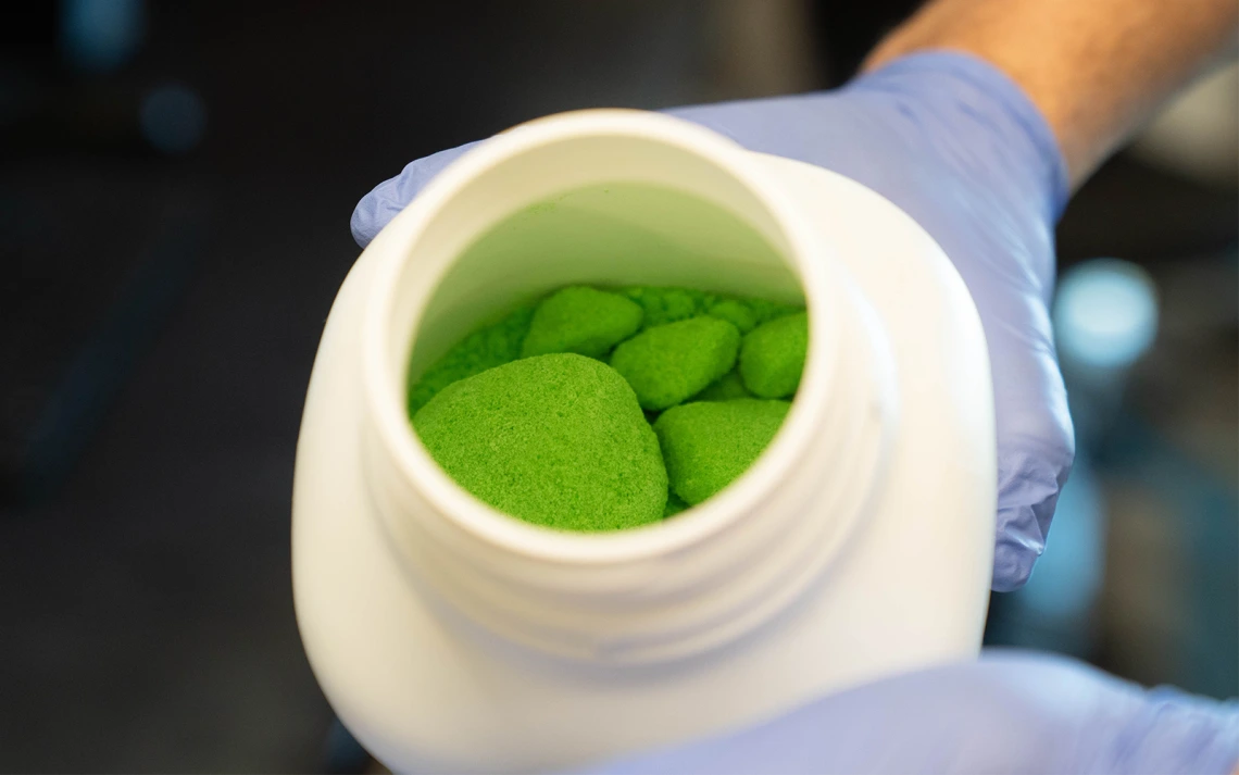 Hand wearing blue gloves holding a white container filled with green powder 