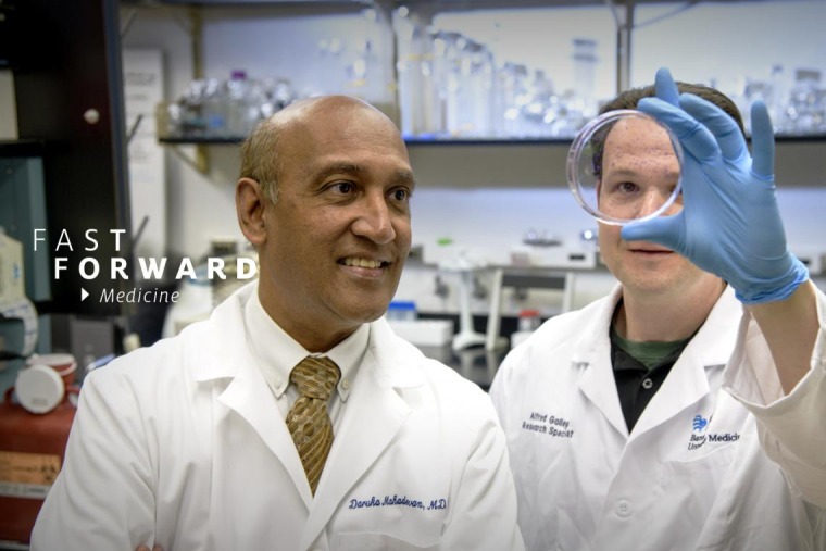 Dr. Daruka Mahadevan and Eric Weterings examine cancer cells in a petri dish.
