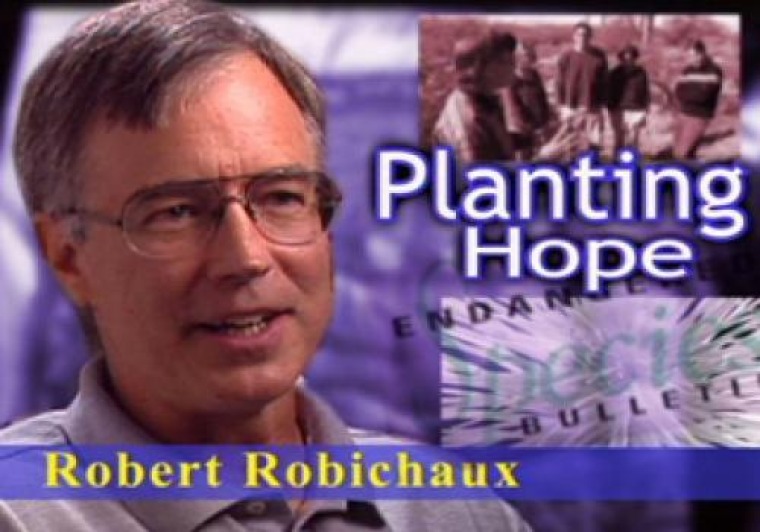 TV graphic of Robert Robichaux with the words "planting hope" by his head