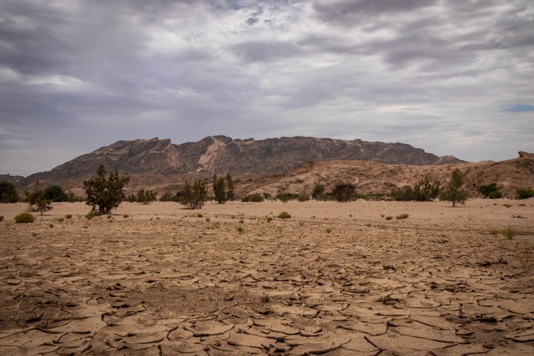 Dry, cracked soil in front of a mountain and sparse trees against a gray overcast sky