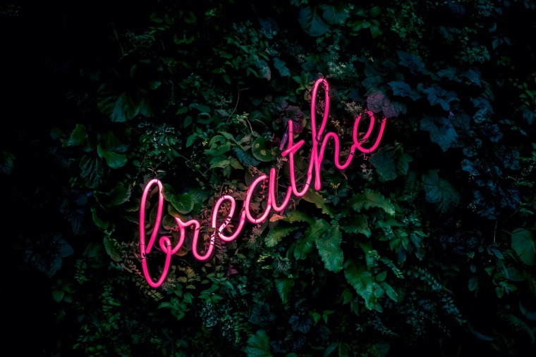 "breathe" neon sign over green shrubbery