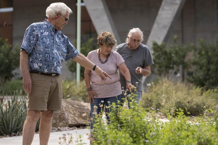 Group of elderly people looking at plants.