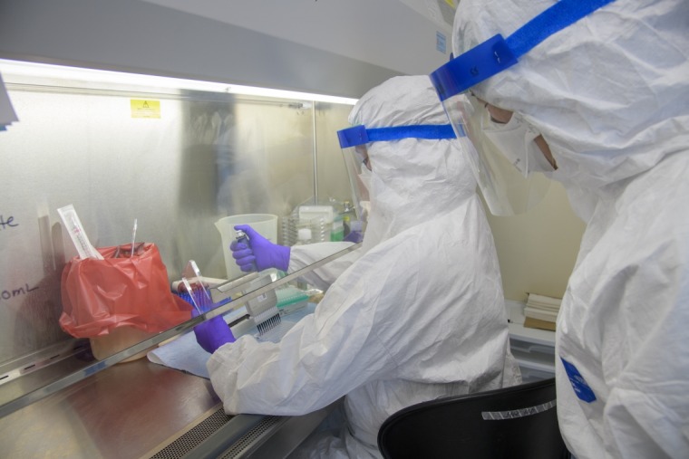 Two researchers donning white hazmat suits, clear face guards, purple gloves pipetting under a science lab hood 