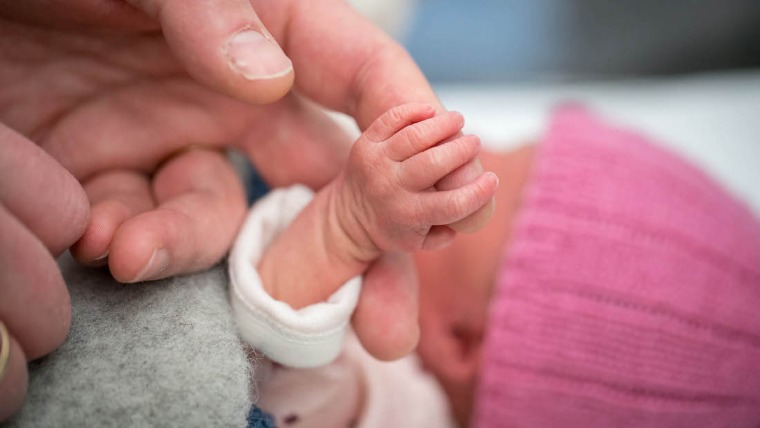 Baby with a pink cap holding an adult hand.
