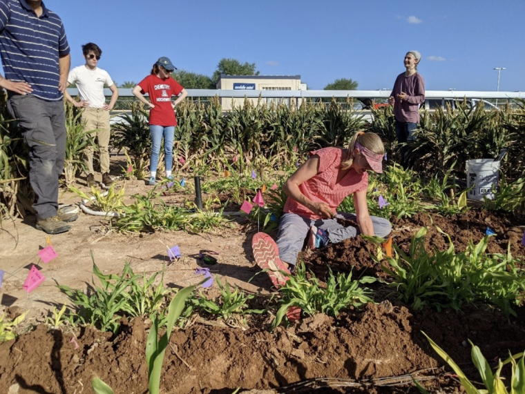 Linnea Honeker digging in a field with a group of people behind her.
