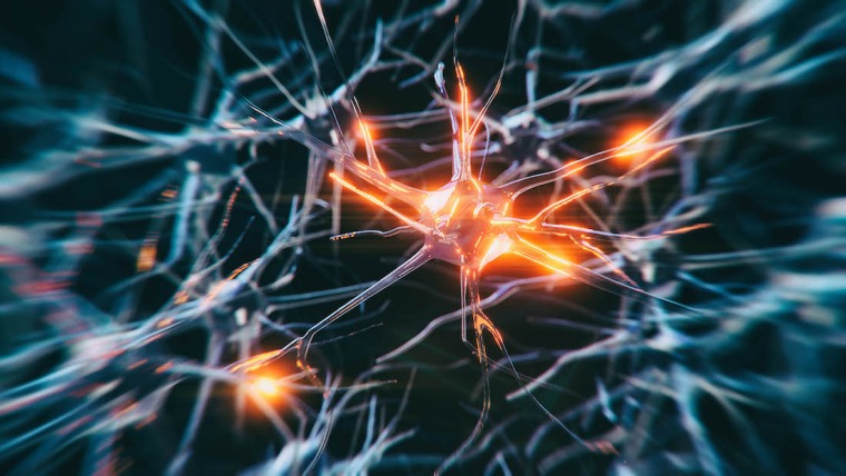 Graphic image of a neuron.