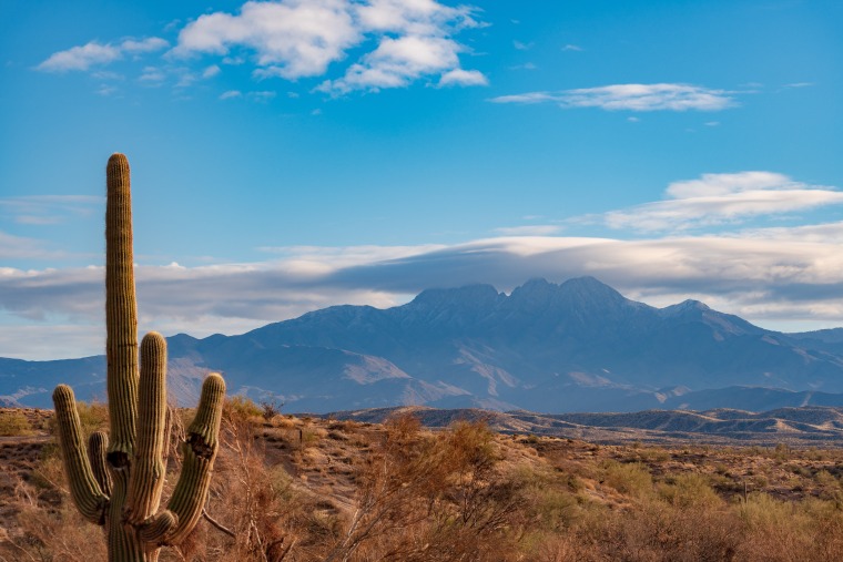 Photograph of Arizona Desert