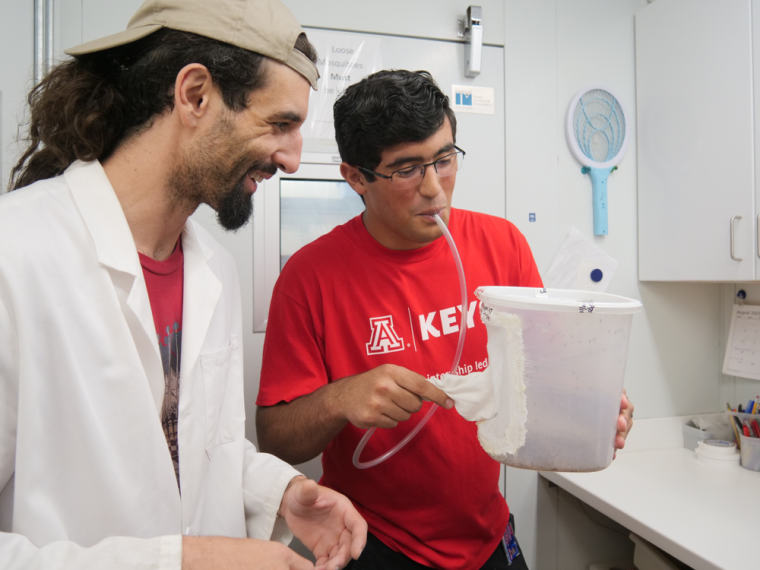 Young person wearing a red KEYS t-shirt holds a tube in head while working in an entomology lab. Person white lab coat and backwards baseball smiles and looks on encouragingly.