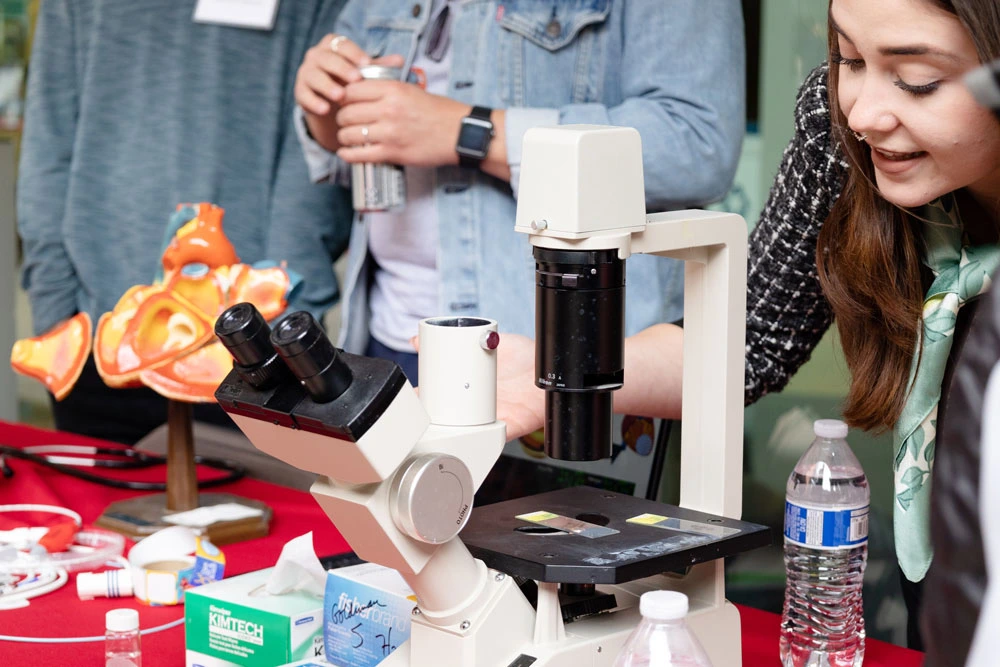 Person demonstrating a microscope at a science fair booth with educational materials and model organs on display.