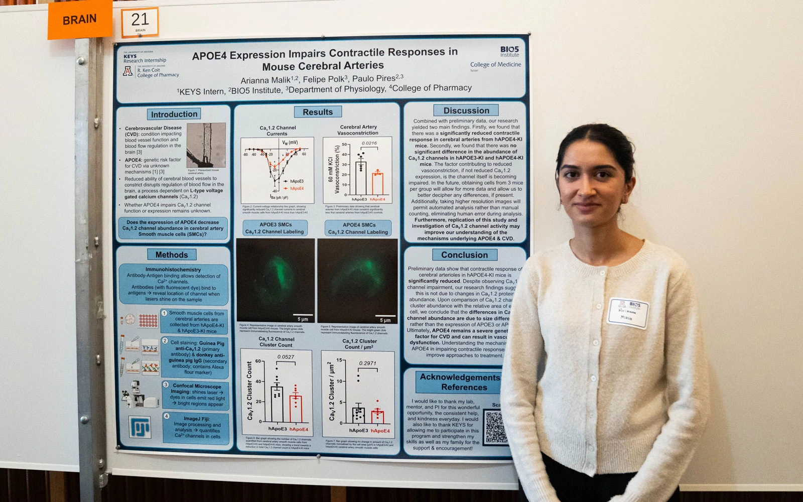 Person standing next to a research poster titled "APOE4 Expression Impairs Contractile Responses in Mouse Cerebral Arteries" at a scientific conference.