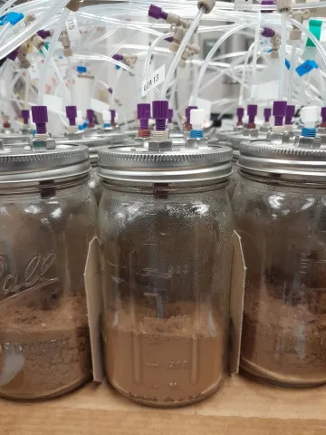 Soils in mason jars with tubes coming out of them