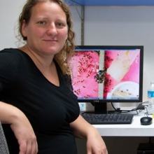Dr. Anna Dornhaus