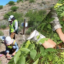 Plant-Soil-Environment Lab Header Image