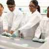 Four students working together in a science lab, examining a petri dish.