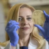 A scientist in a lab coat and gloves examines a petri dish closely.