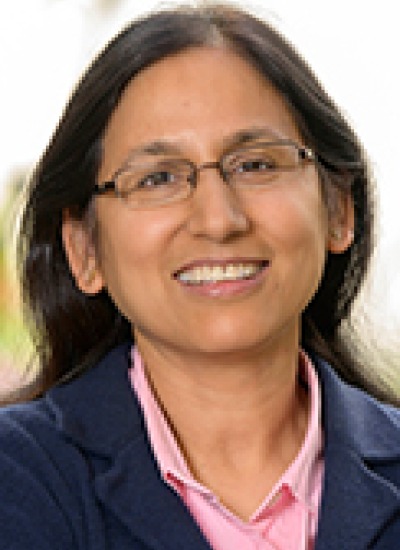 Dr. Mrinalini Kala